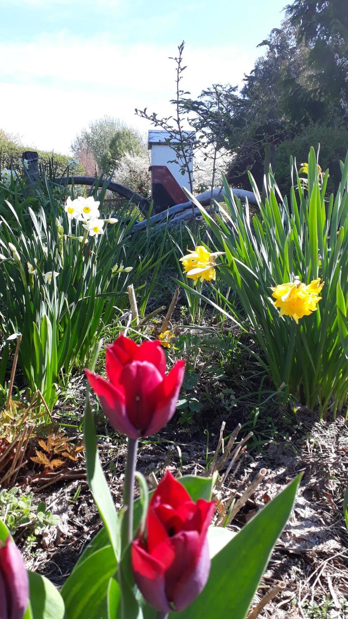 Folster Gardens Bed And Breakfast Invercargill Exterior photo